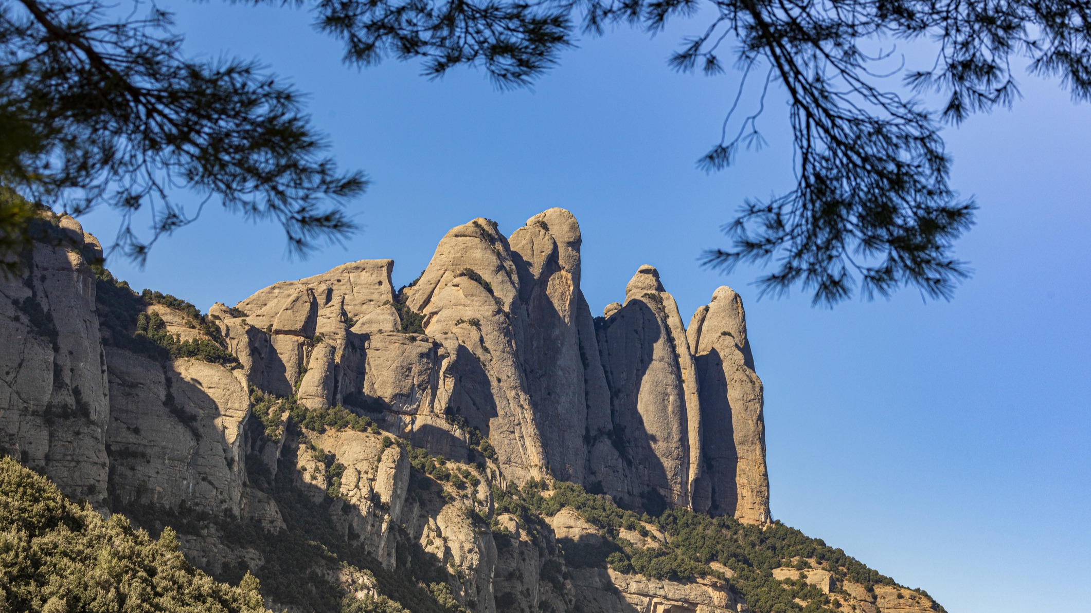 Formaciones rocosas puntiagudas y verticales de la montaña de Montserrat, Barcelona, con cielo azul en un día soleado.