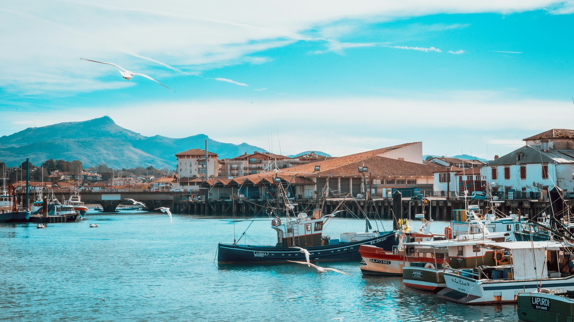 Barcos pesqueros en el puerto de San Juan de Luz con montañas al fondo.