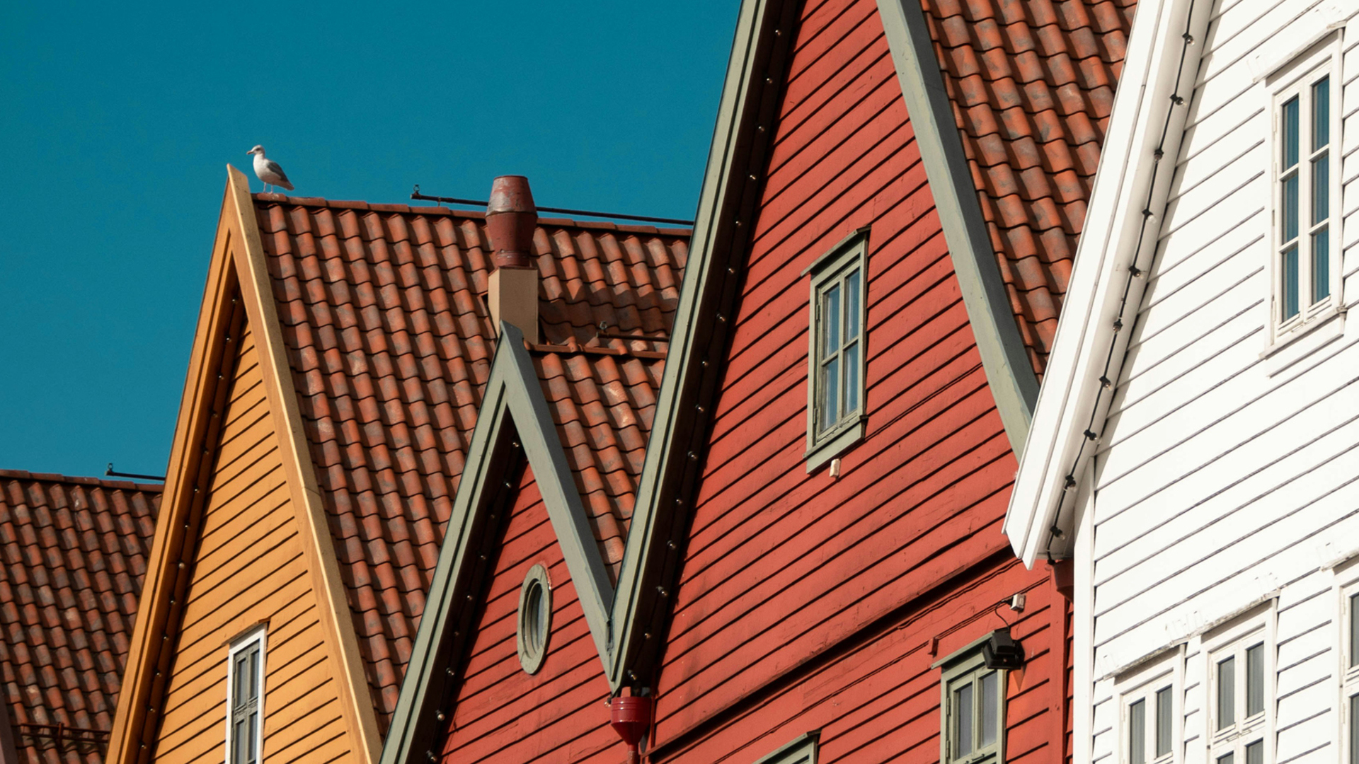 Fachadas rojas y amarillas de las casas de madera de Bryggen, Bergen, Noruega, con tejas y gaviota en el tejado.