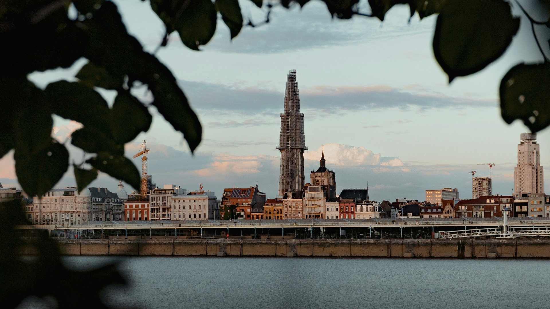 Horizonte de Amberes, Bélgica, con la torre de la Catedral en restauración, vista desde el río Escalda, a través de hojas.