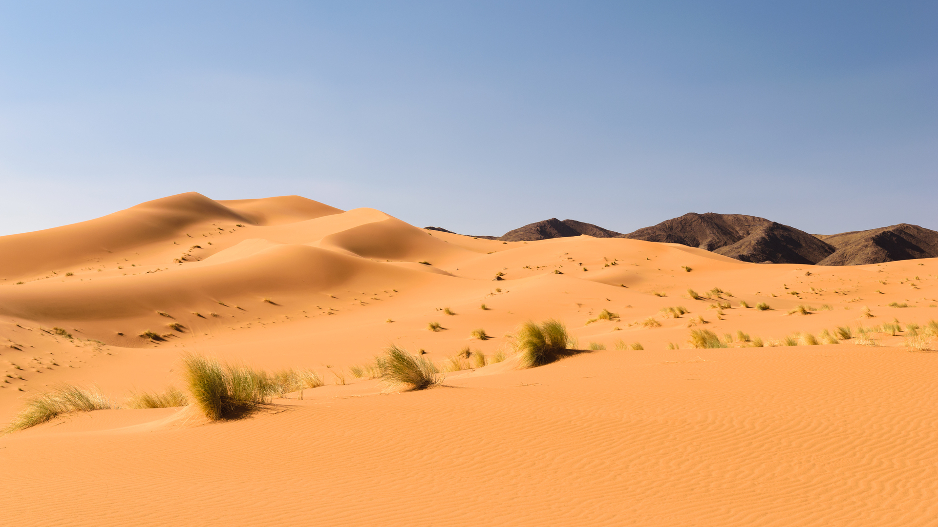 Dunas de arena en el desierto de Ouzina, Sáhara marroquí