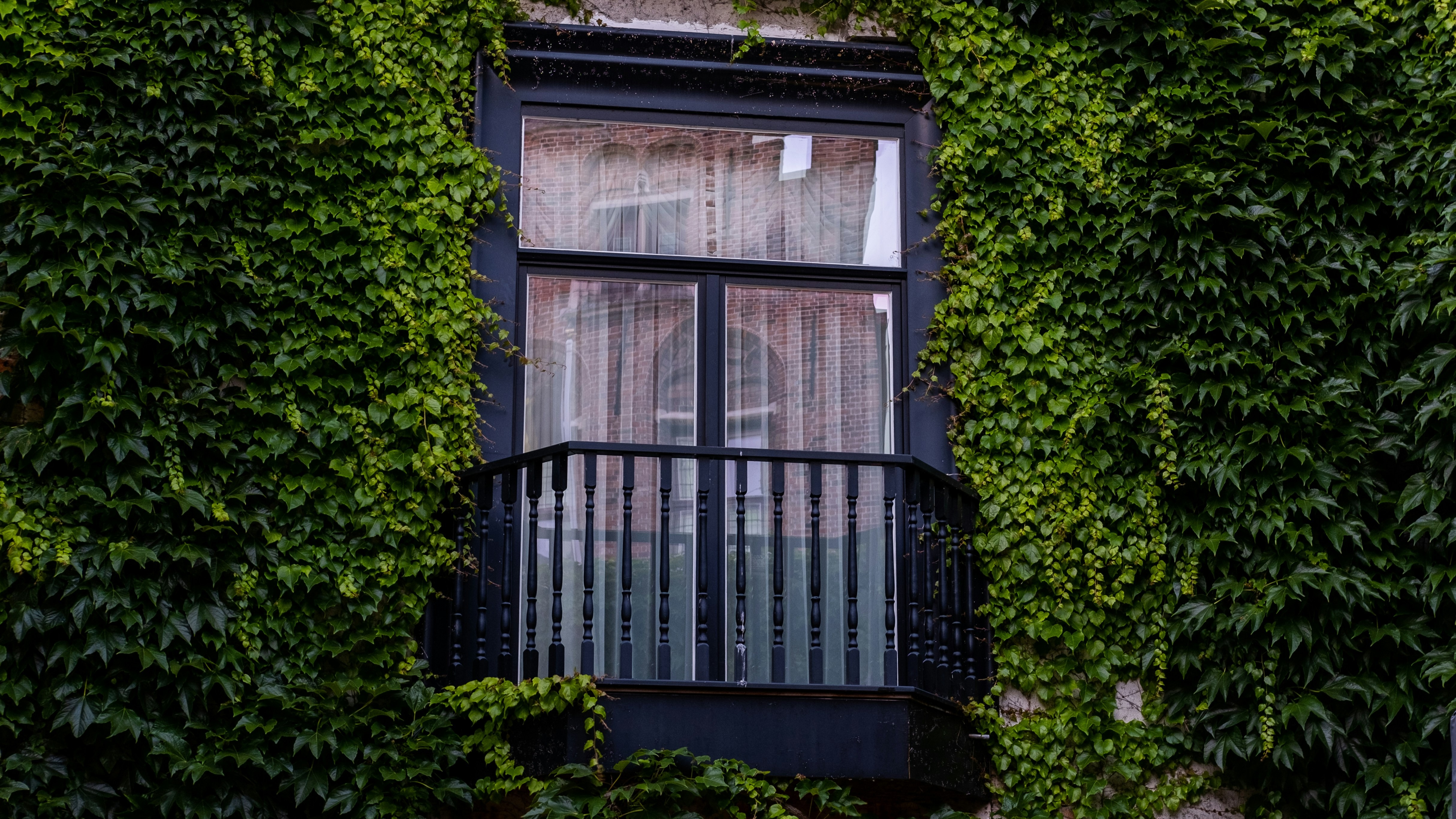 Balcón con barandilla negra sobre muro de hiedra verde en Brujas, Bélgica.