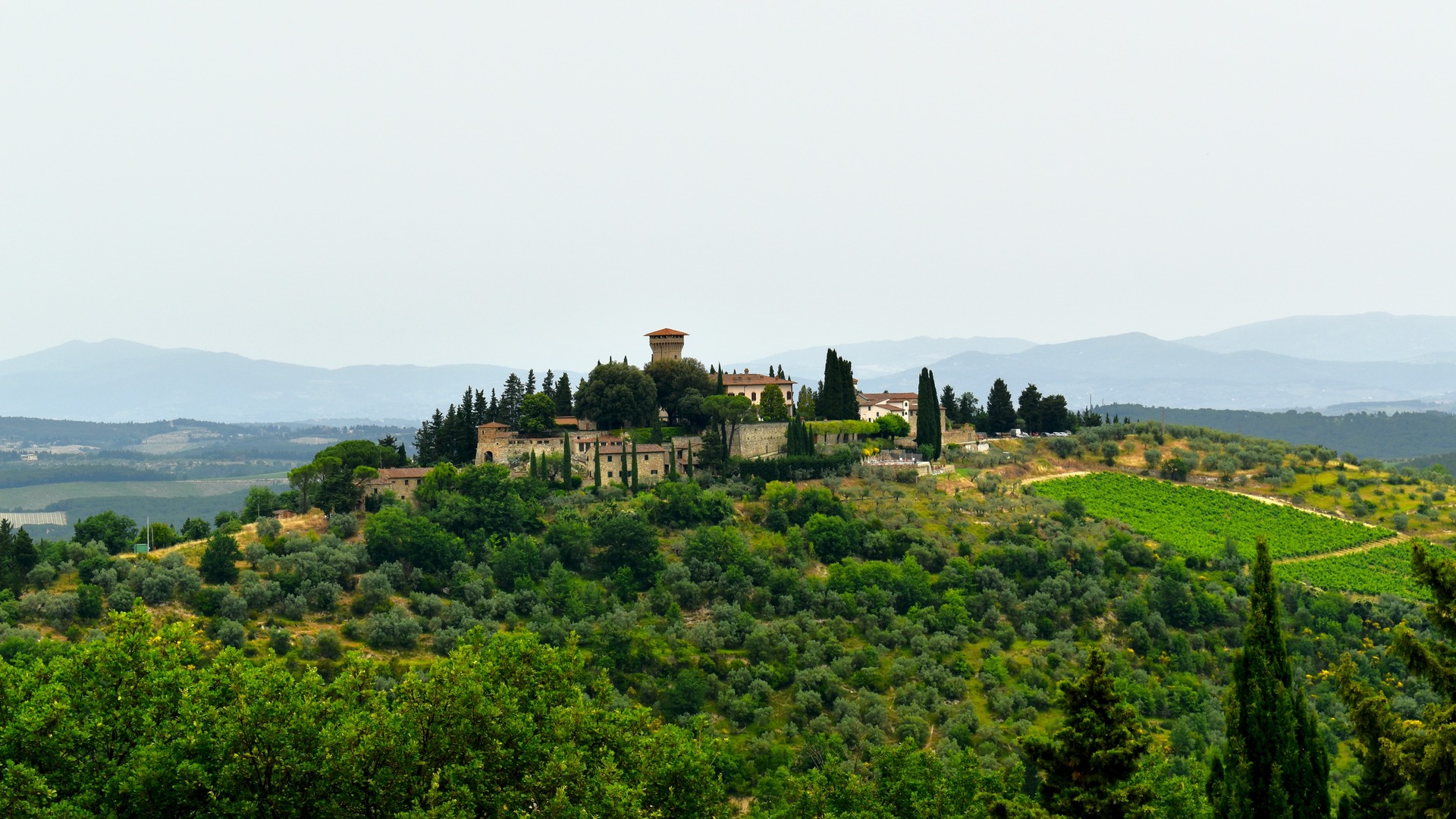 Pueblo medieval rodeado de viñedos en la Toscana