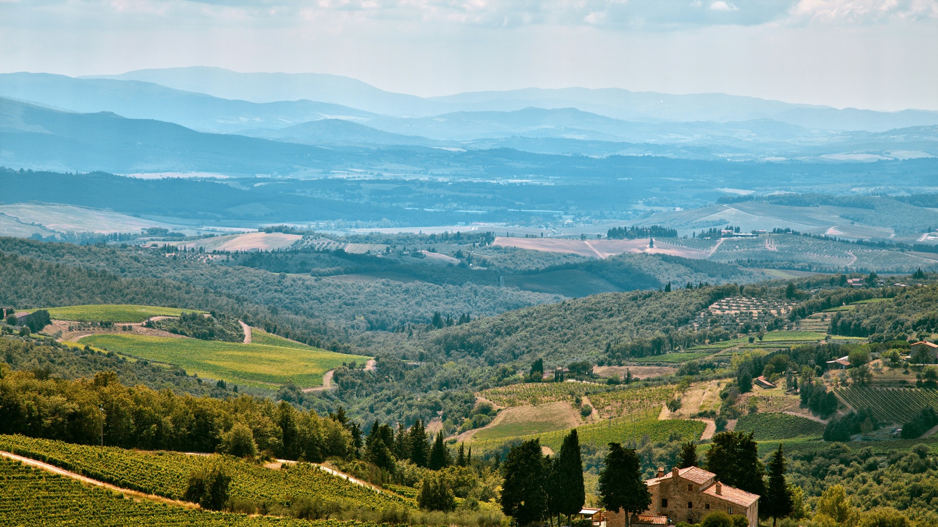 Panorámica de colinas y viñedos infinitos en la región de la Toscana