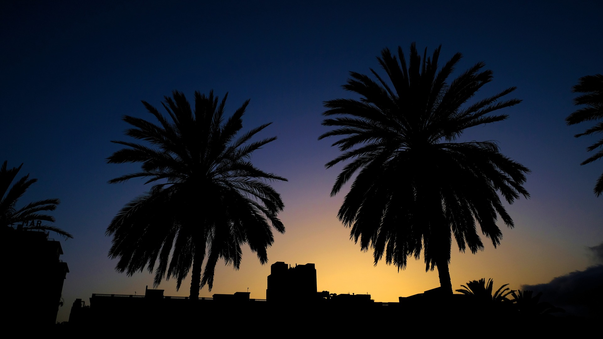 Siluetas de palmeras y edificios contra el cielo al atardecer en Las Palmas.