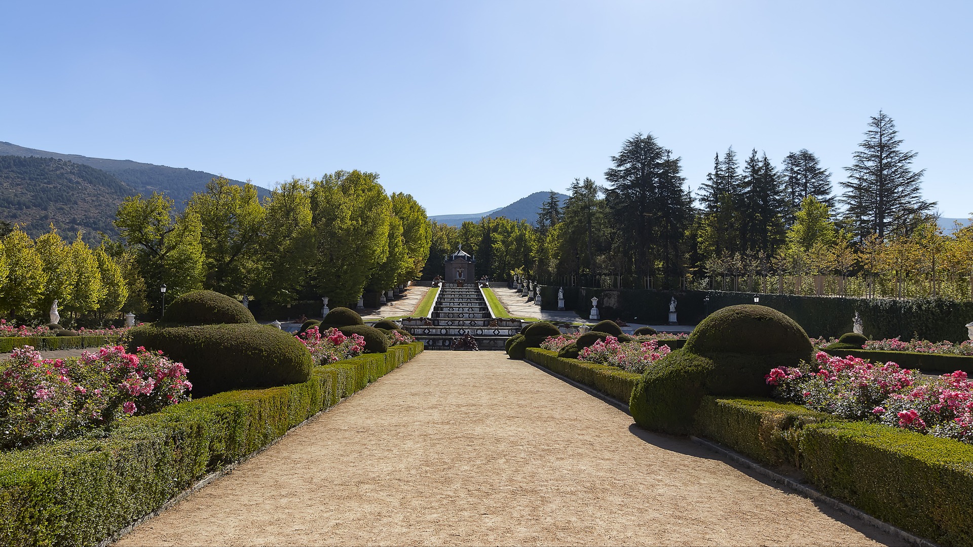 Camino de arena flanqueado por rosales hacia la cascada de La Granja, Segovia.
