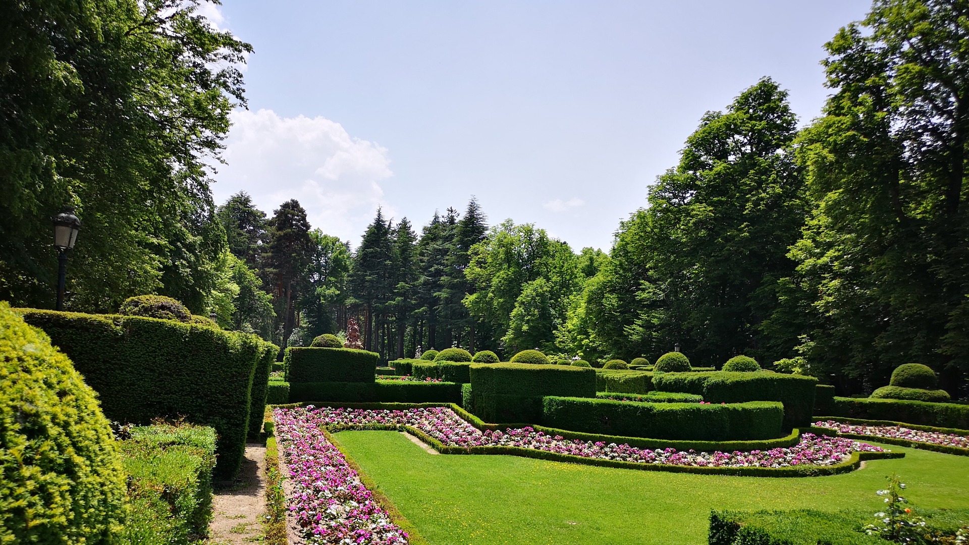 Diseño de setos y flores rosas en los jardines de La Granja