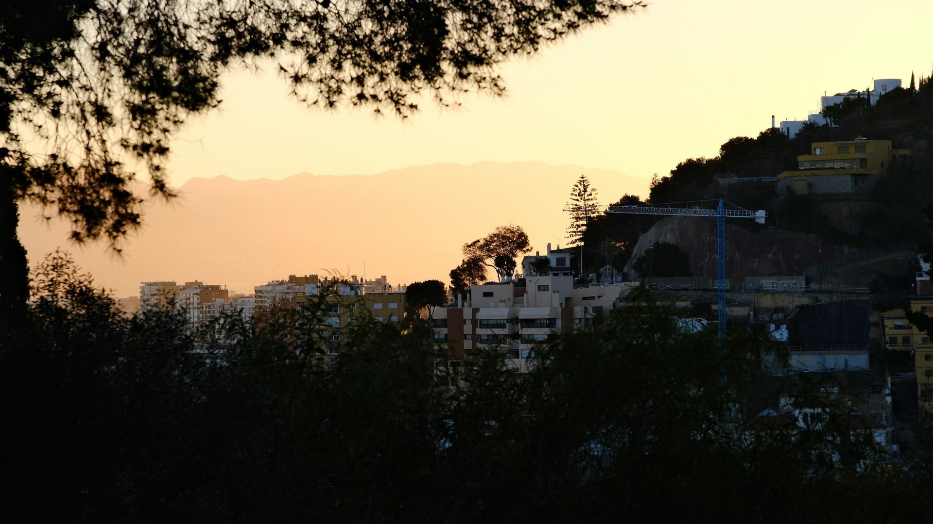 Vistas de Málaga entre árboles: edificios y montañas bajo un cielo de atardecer.