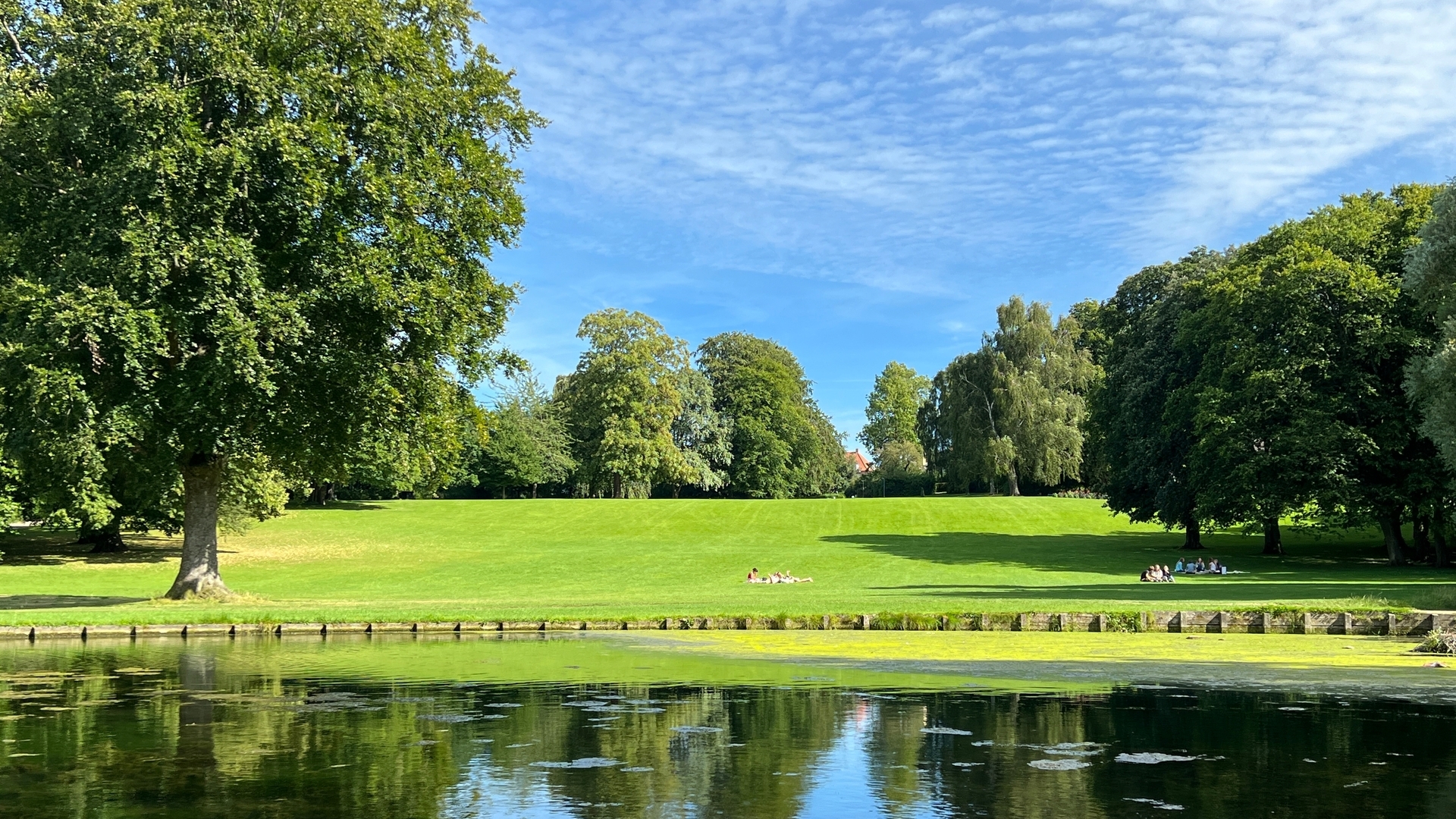 Parque urbano Byparken junto al lago en Roskilde, Dinamarca