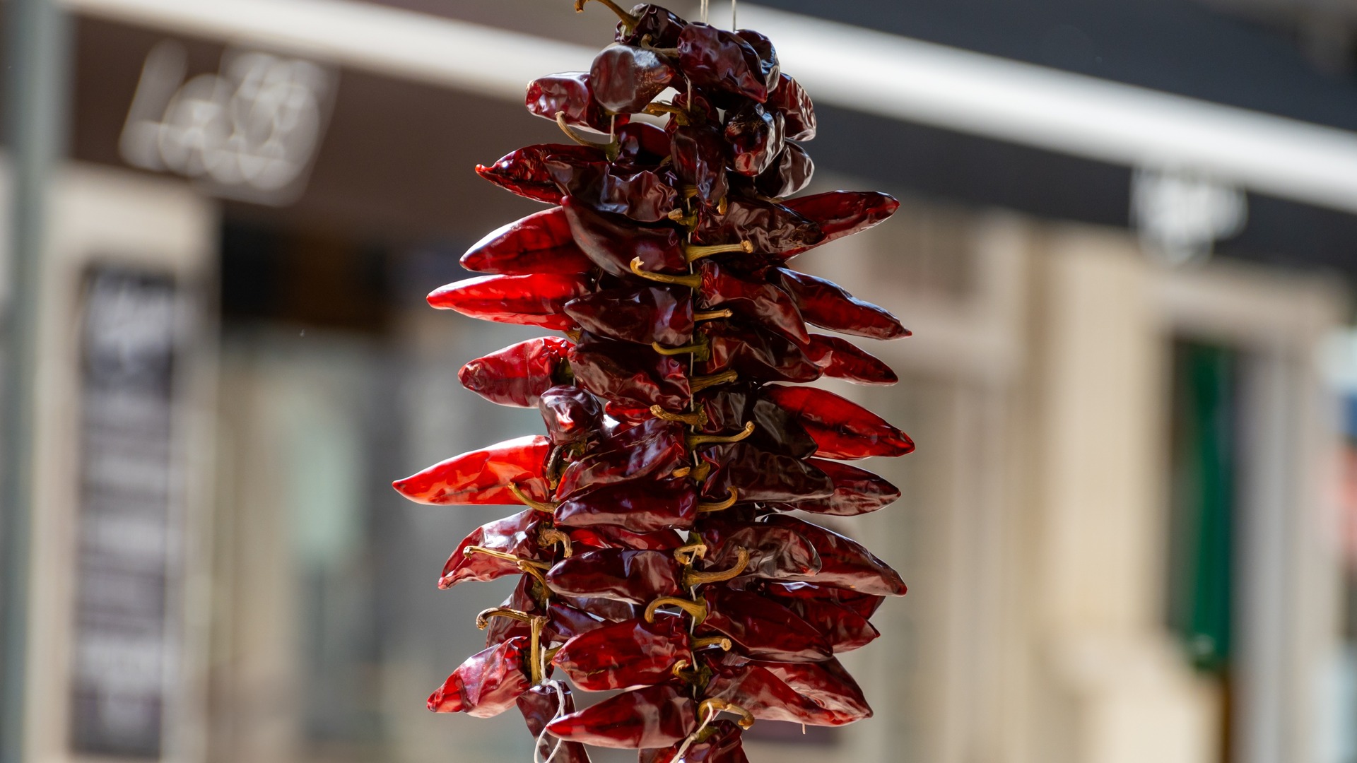 Ristra de pimientos de Espelette secos colgados al sol en una calle del País Vasco francés