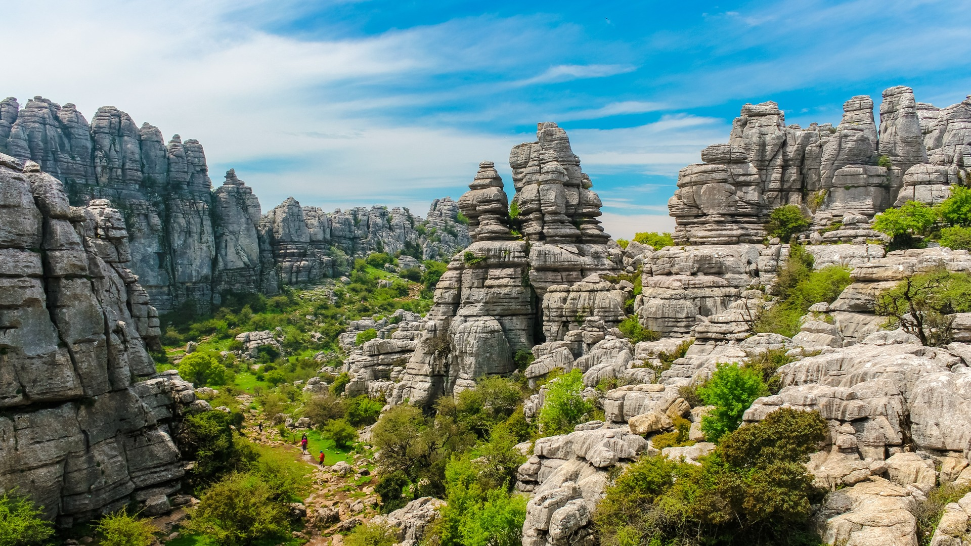 Valles formaciones kársticas y vegetación, Torcal de Antequera