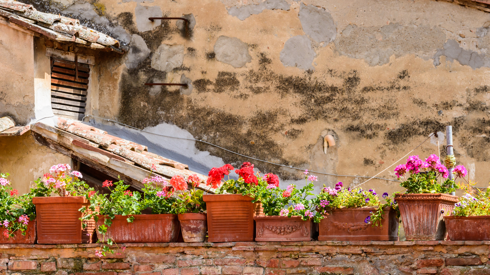 Macetas con flores en fachada rústica de un pueblo de la Toscana, Italia