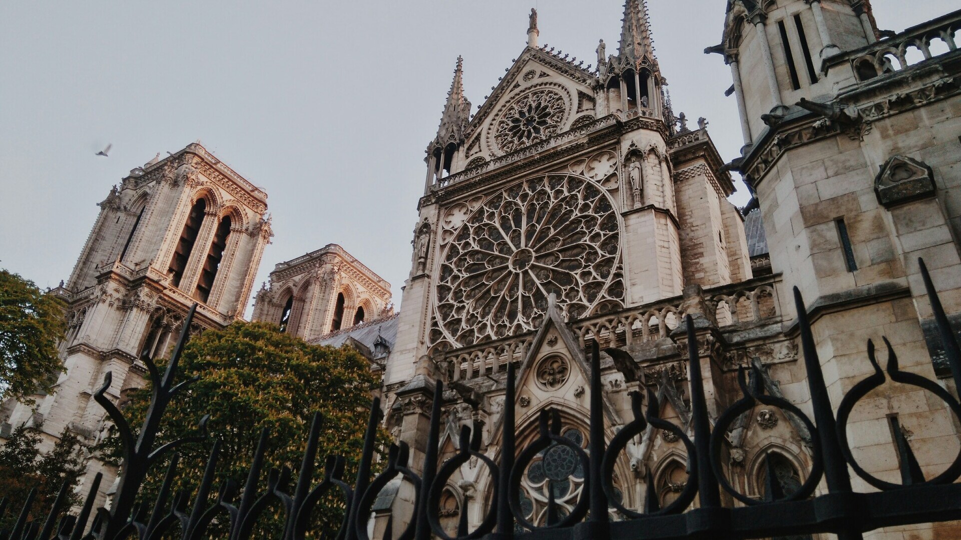 Fachada gótica de la Catedral de Notre Dame en París con rosetón central y torres icónicas vistas desde el exterior.