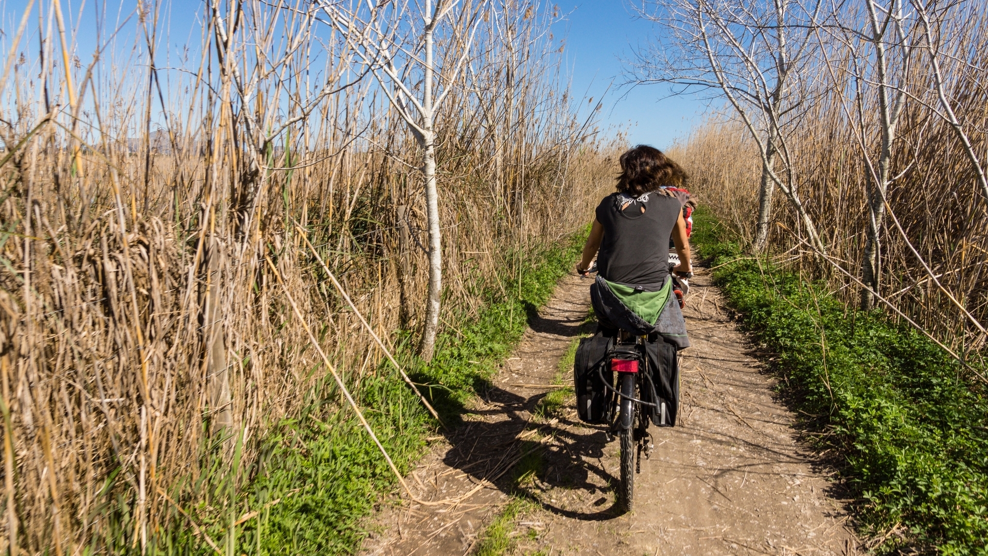Ciclistas en sendero natural de la Albufera de Valencia