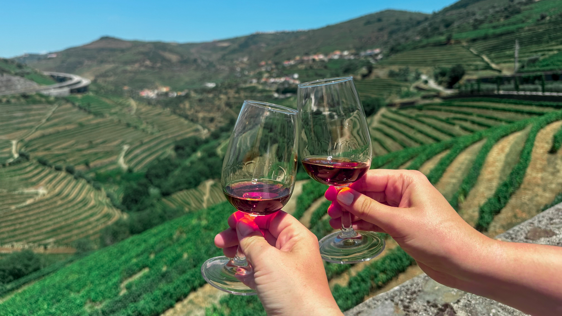 Brindis con vino frente a las terrazas de viñedos del Valle del Duero en un día soleado.