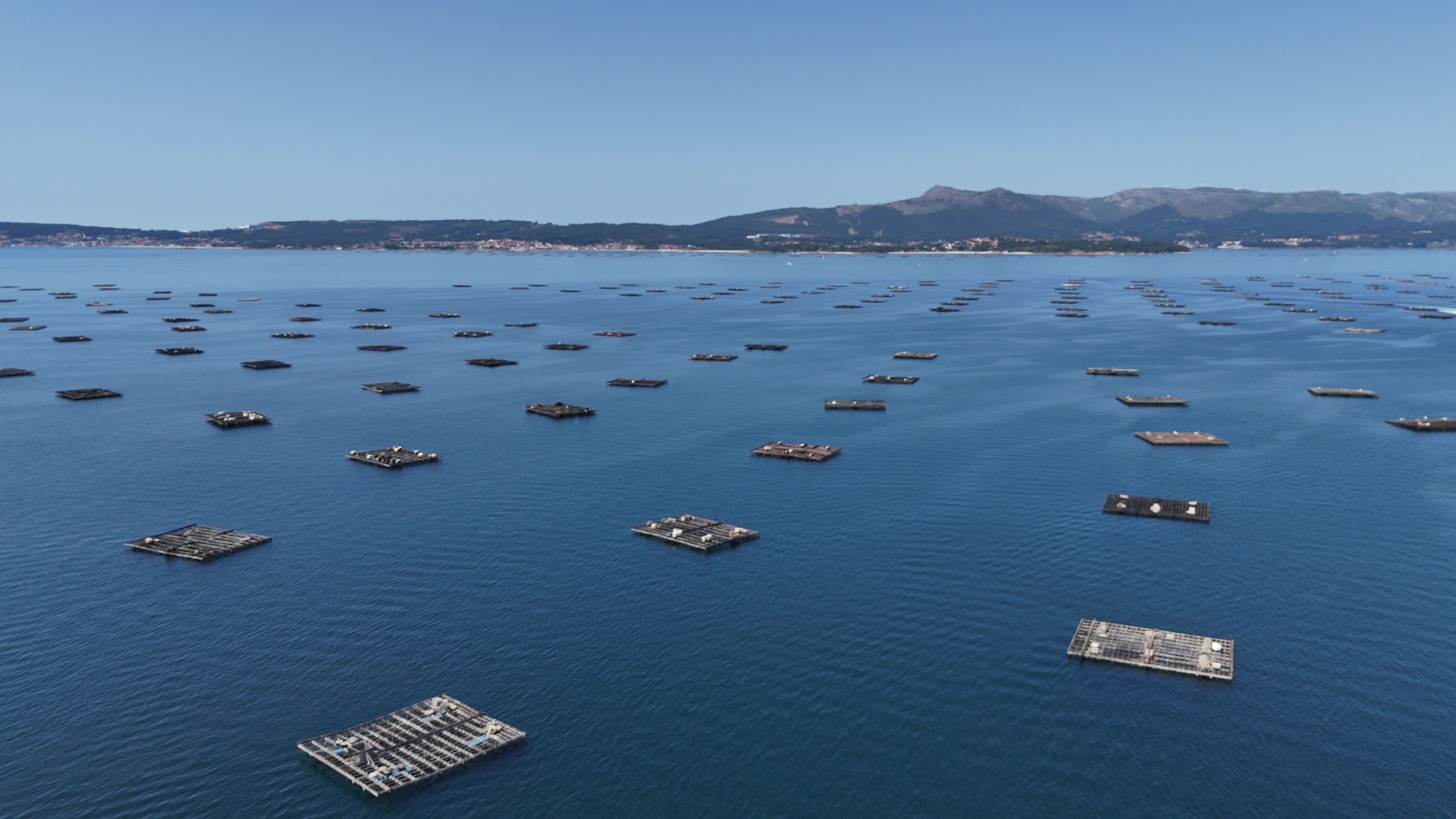 bateas ría de Arousa