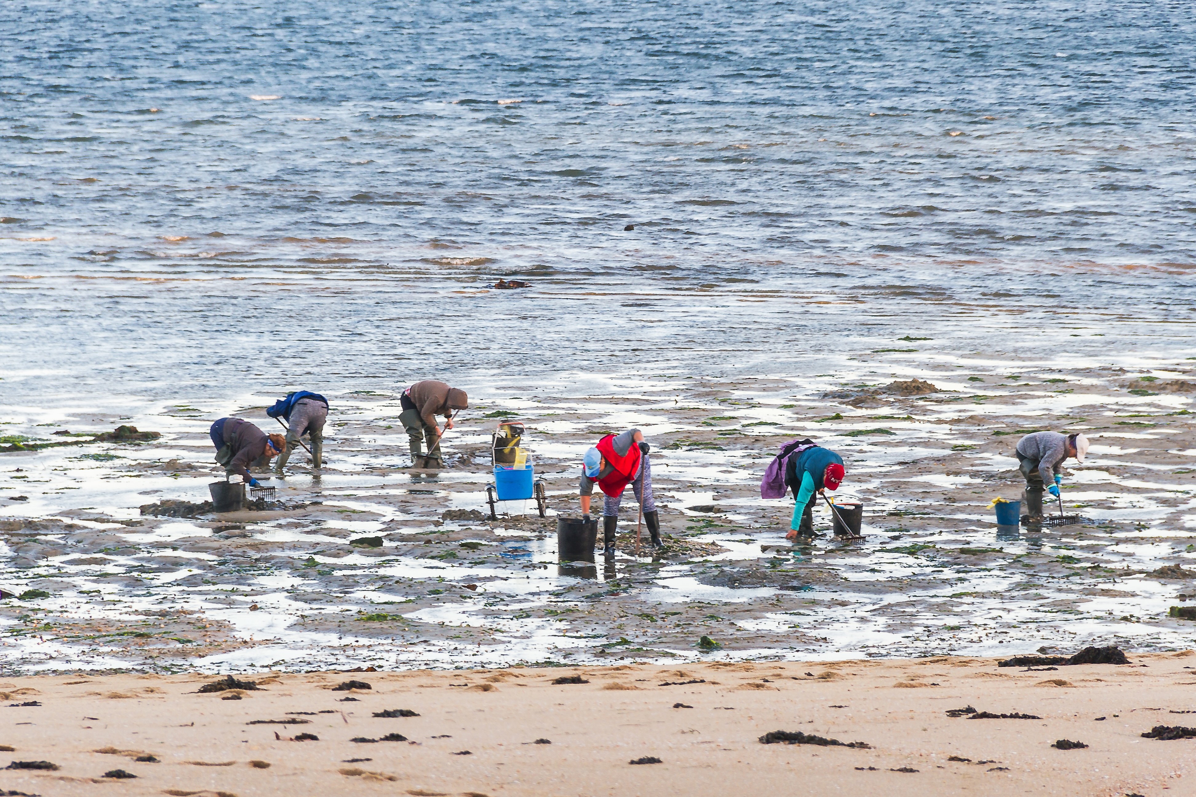 mariscadoras rias baixas