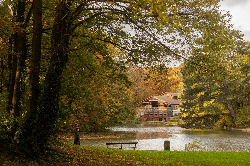 Otoño en Bruselas