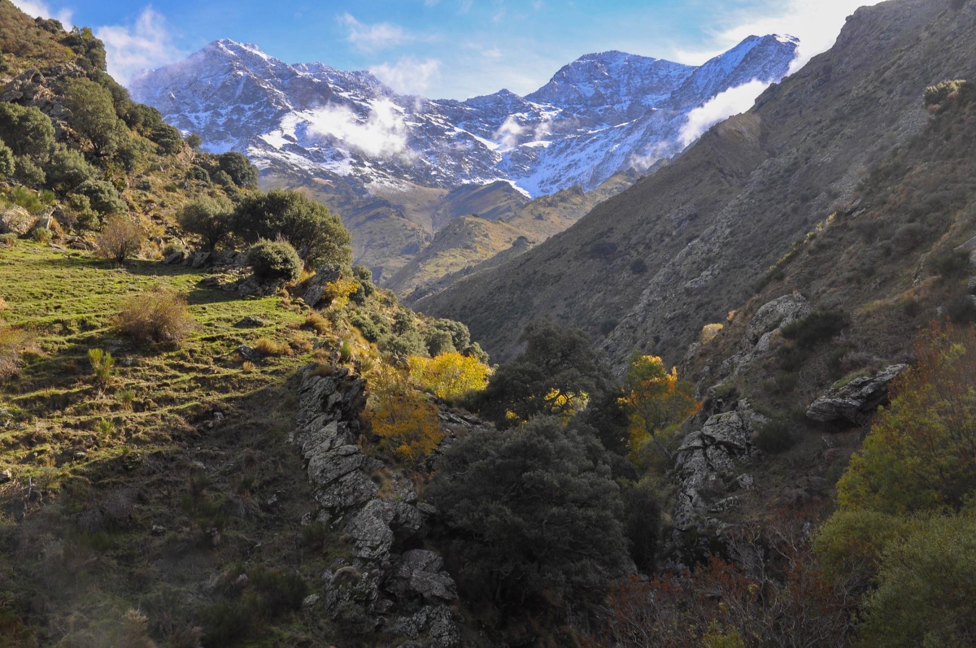 Vistas de Sierra Nevada desde la Vereda de la Estrella