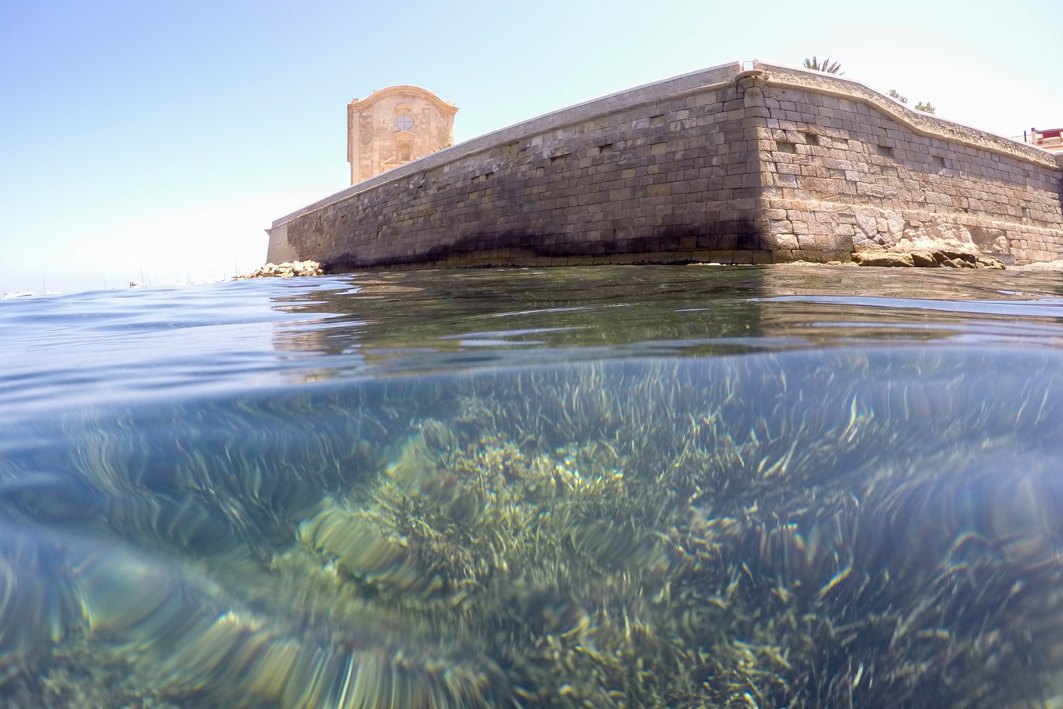 Posidonia Tabarca