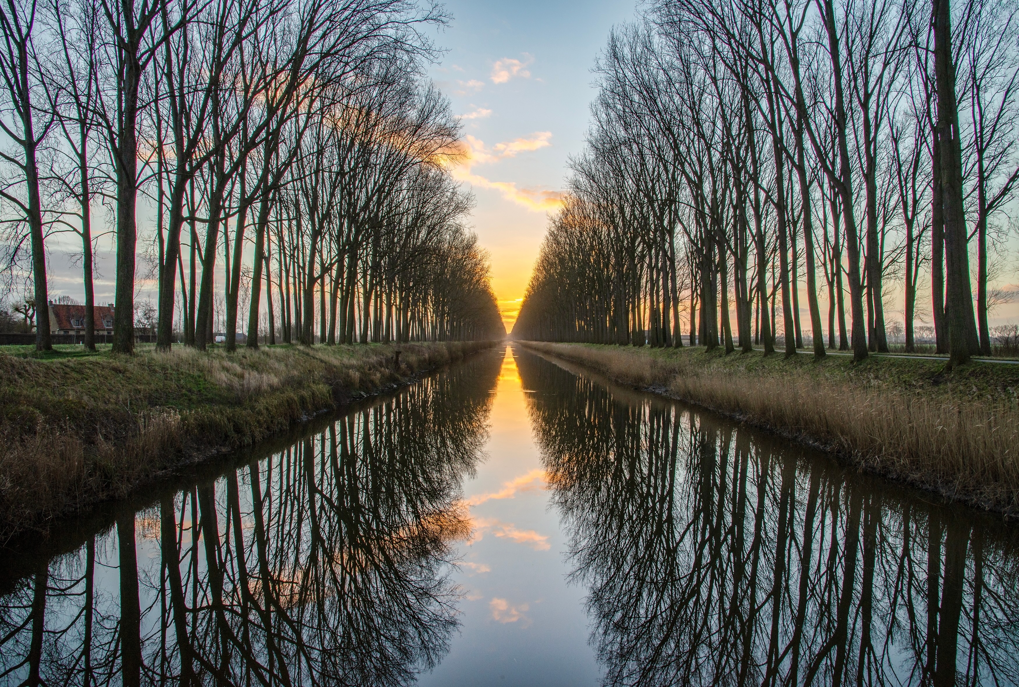 Damse vaart