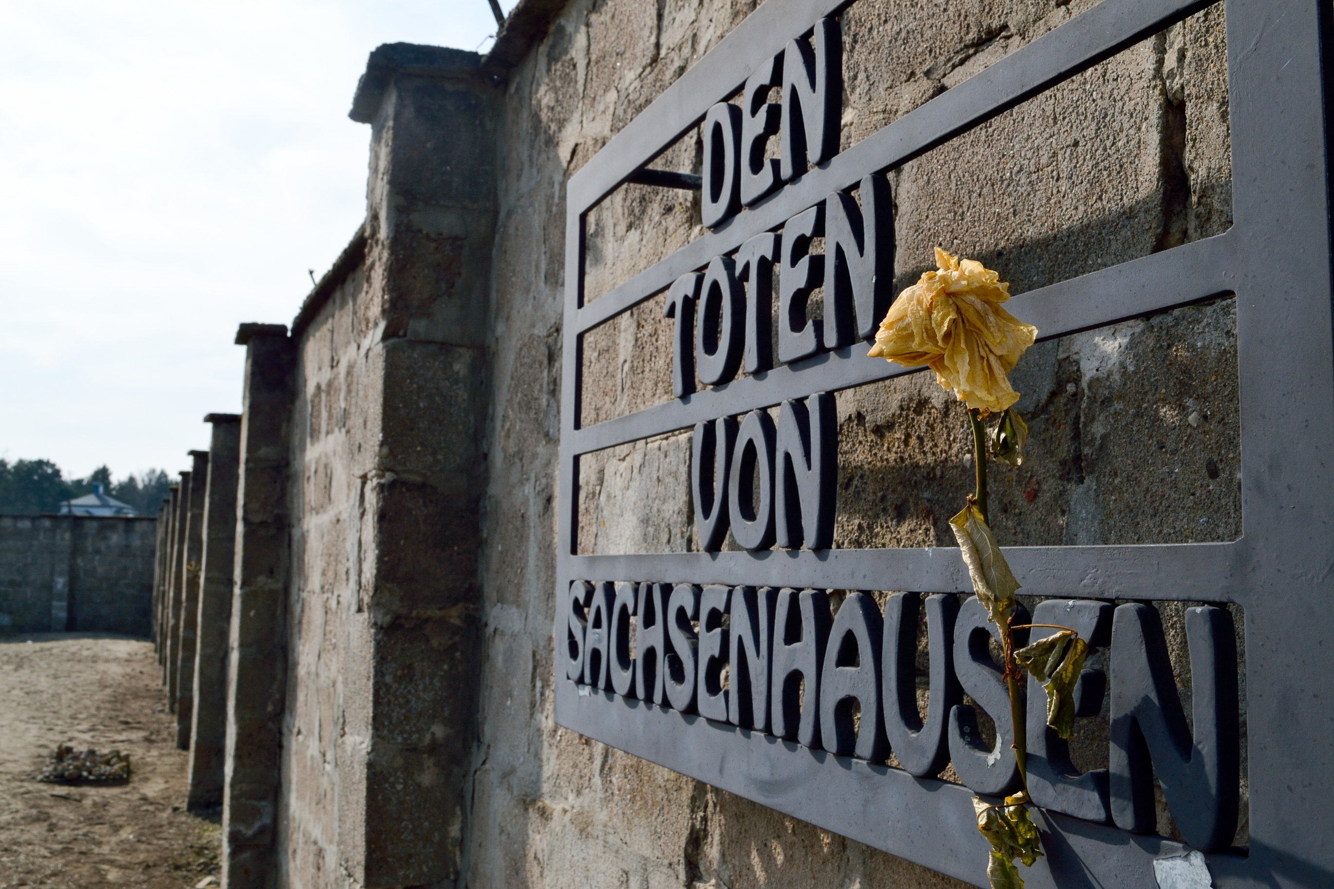 cartel flor sachsenhausen
