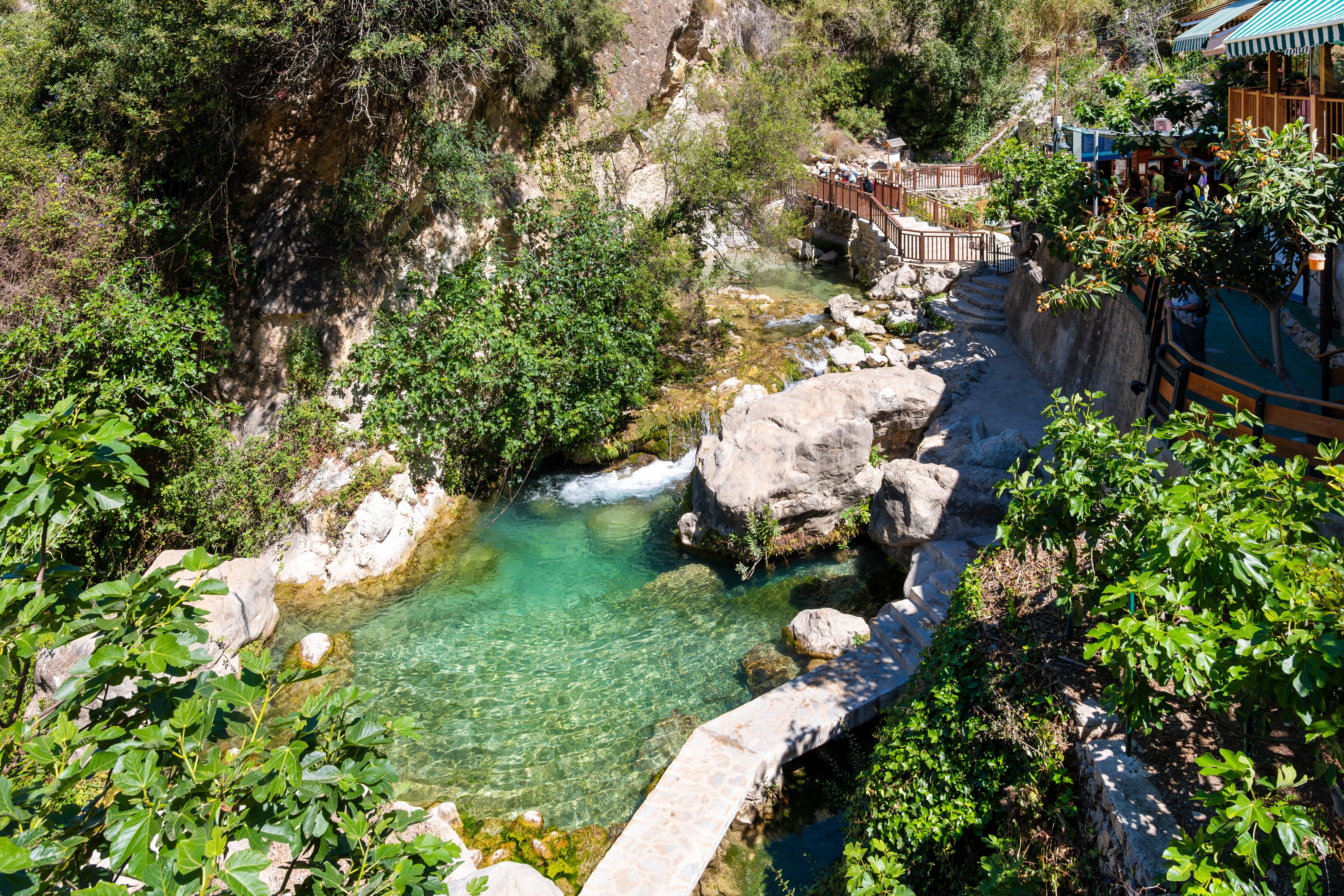 fuentes ddel algar perspectiva