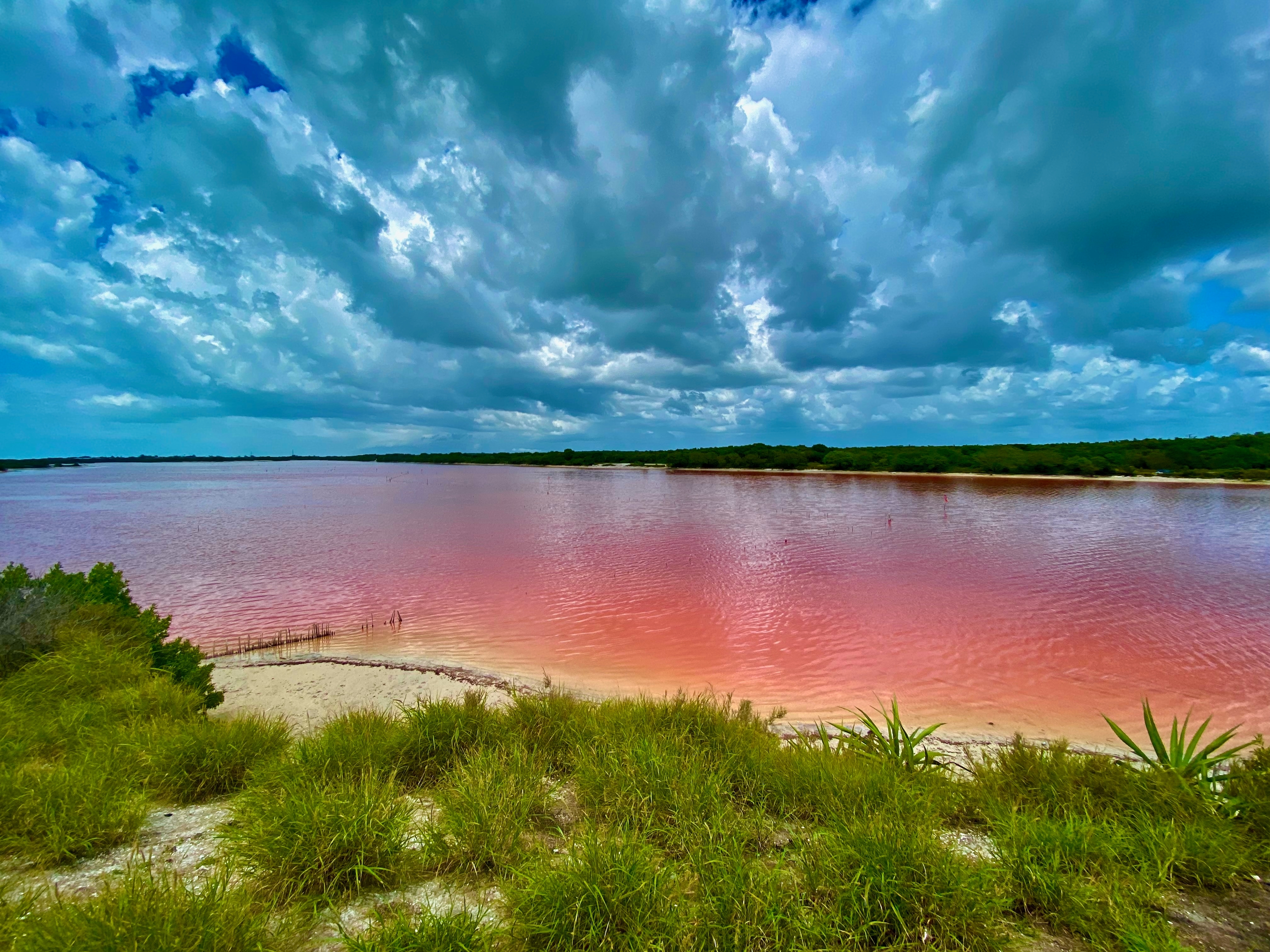 Laguna rosa, torrevieja