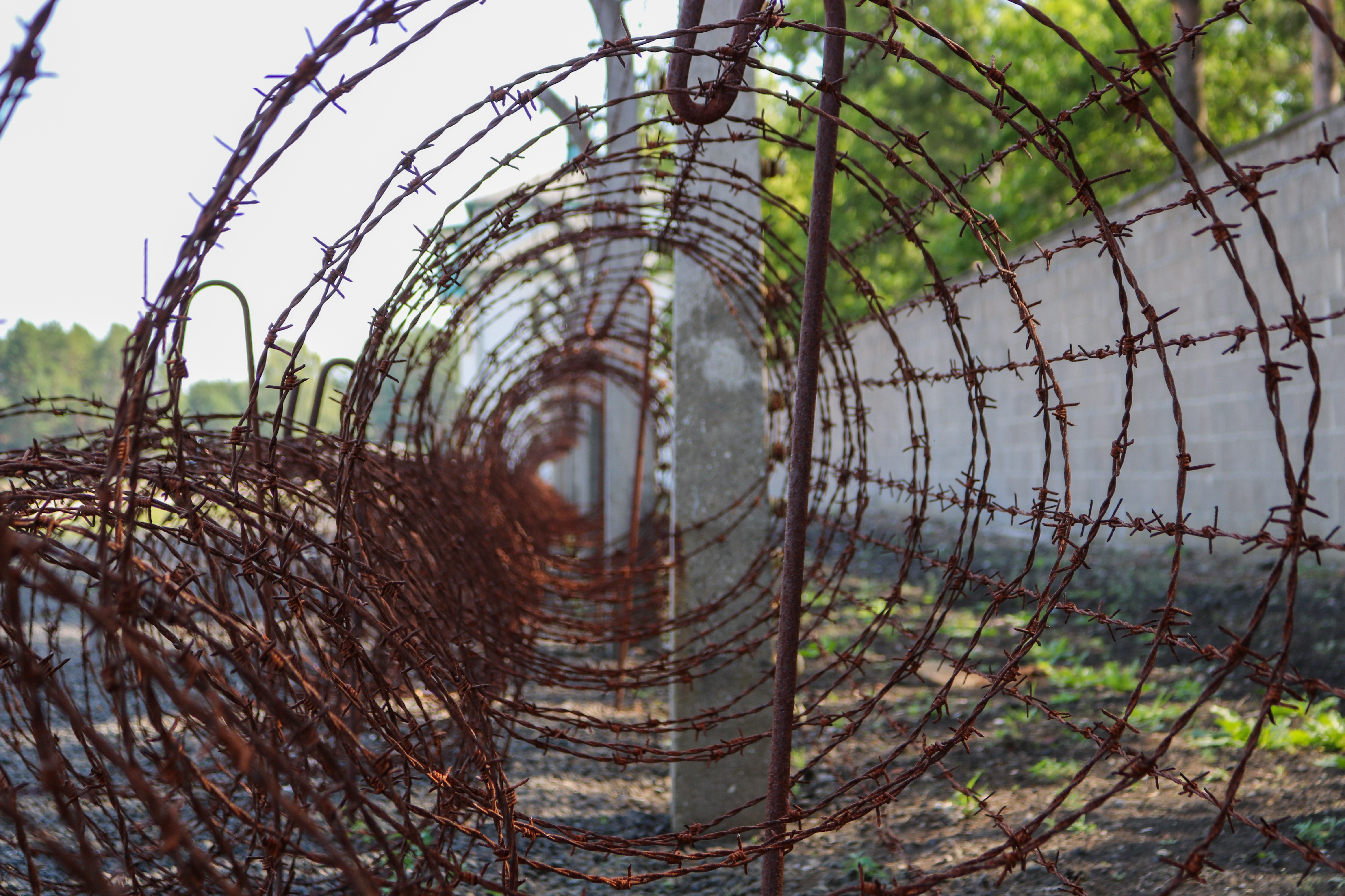 alambre espino sachsenhausen