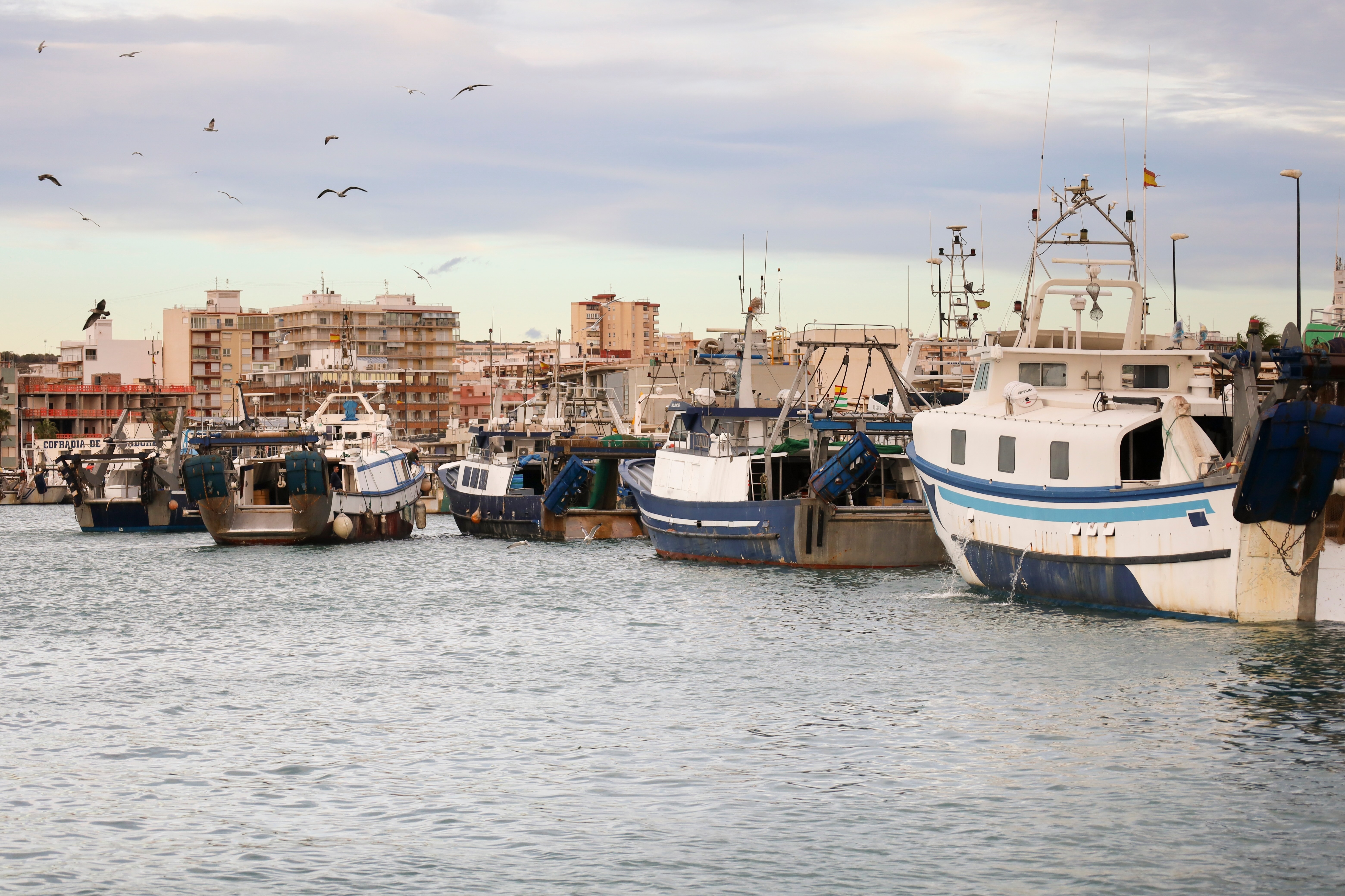 puerto santa pola
