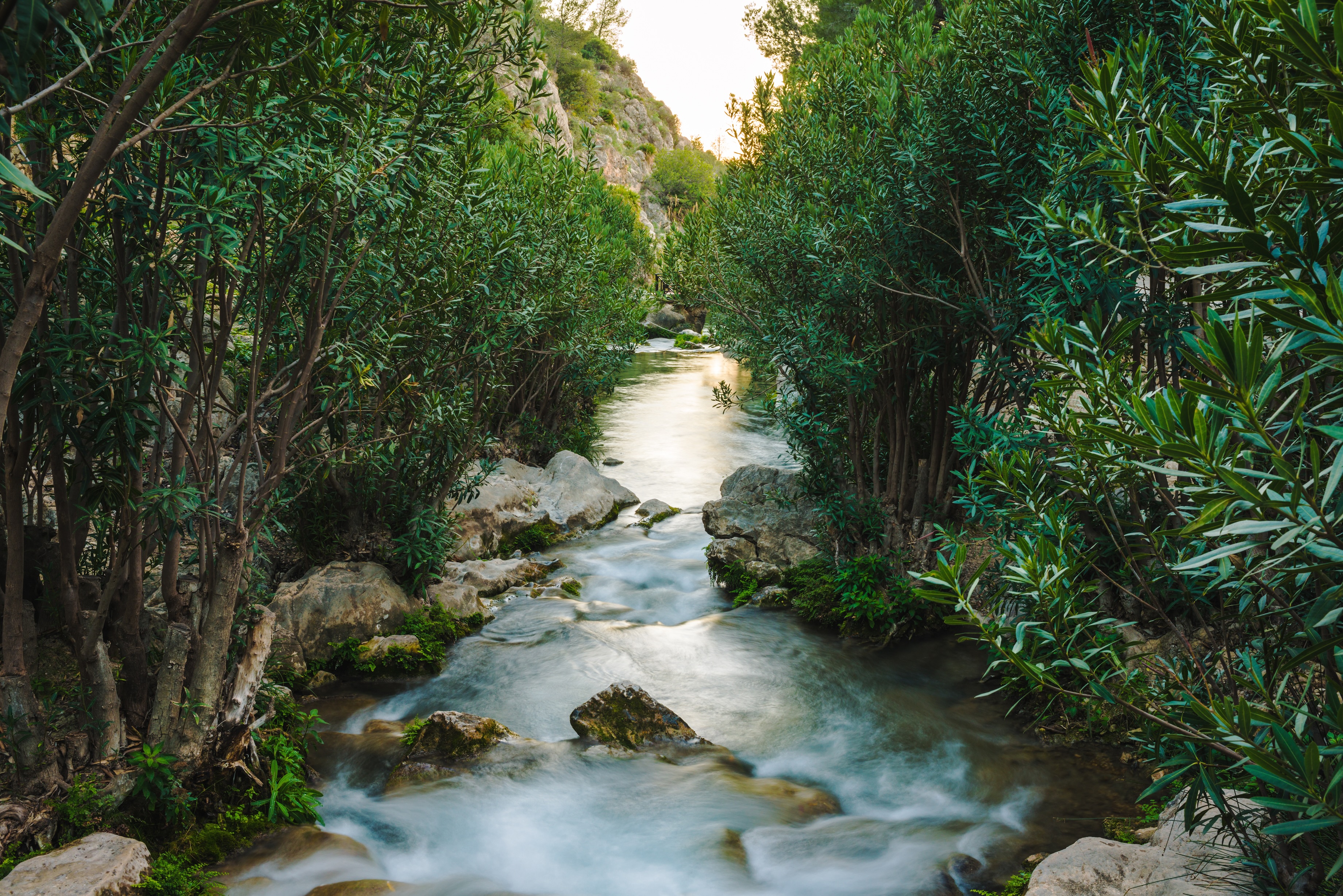 rio fuentes algar