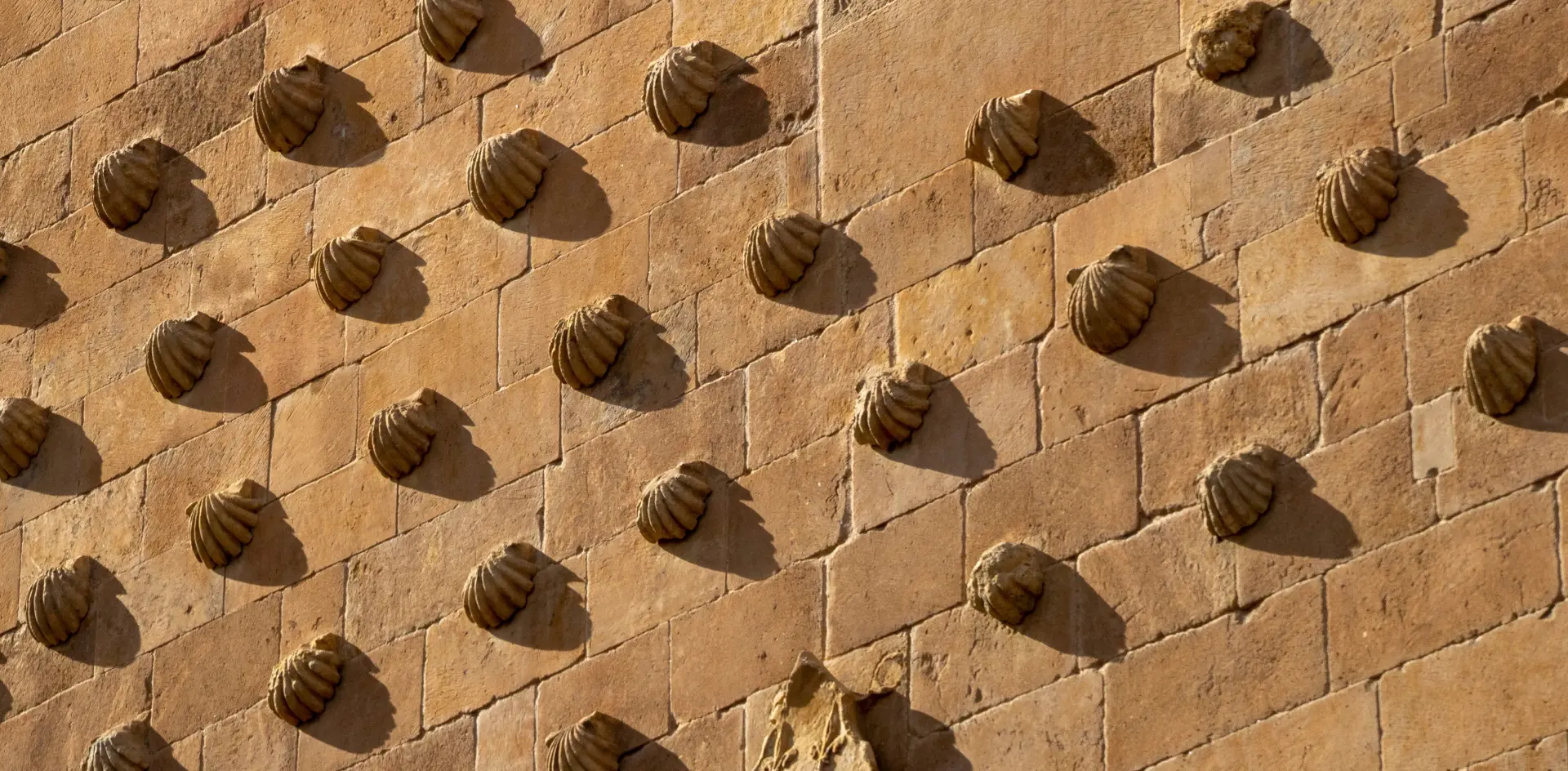 Detalle fachada casa de las Conchas 