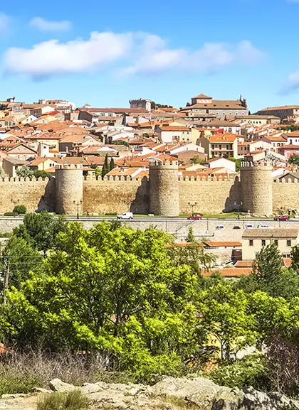 Vista aérea de la ciudad de Ávila - Excursión a Ávila y Salamanca desde Madrid - Buendía