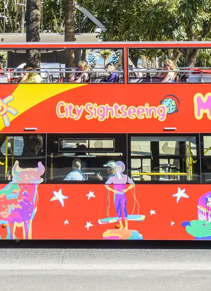 Bus turístico Málaga-Buendía 