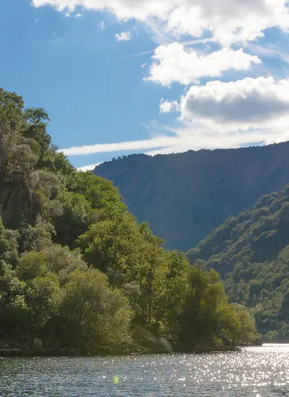 Excursión y cata de vinos en la Ribeira Sacra desde Lugo - Buendía Galicia 