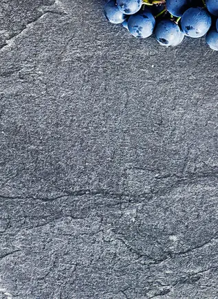 Visita a la bodega Ruiz Torres con cata