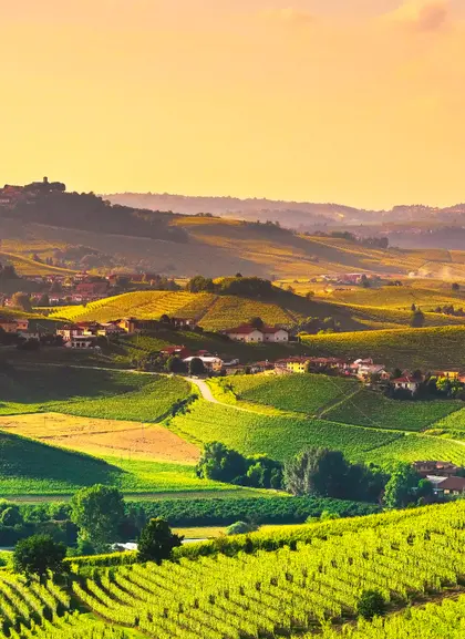Vista panorámica de los viñedos del Chianti - Tour de Medio Día a la Región del Chianti y sus Viñedos - Actividades y Excursiones Buendía Toscana, Italia