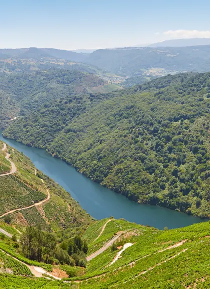 Cañones del río Sil en Ourense - Excursión a la Ribeira Sacra desde Santiago - Excursiones y Actividades en Santiago de Compostela - Buendía 