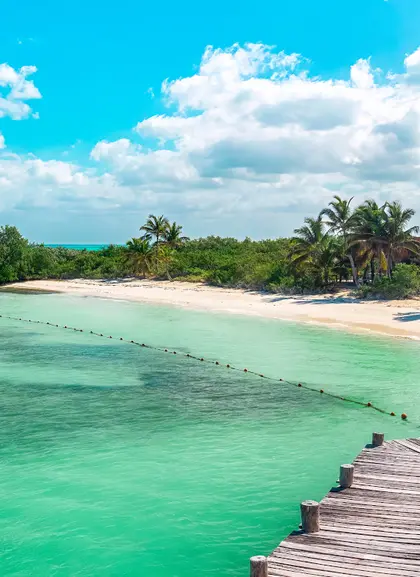 Excursión a Isla Contoy e Isla Mujeres con Almuerzo desde Cancún y Playa del Carmen - Tours y Actividades Buendía México