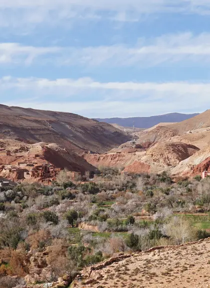 Excursión al valle de Ourika y las montañas del Atlas desde Marrakech