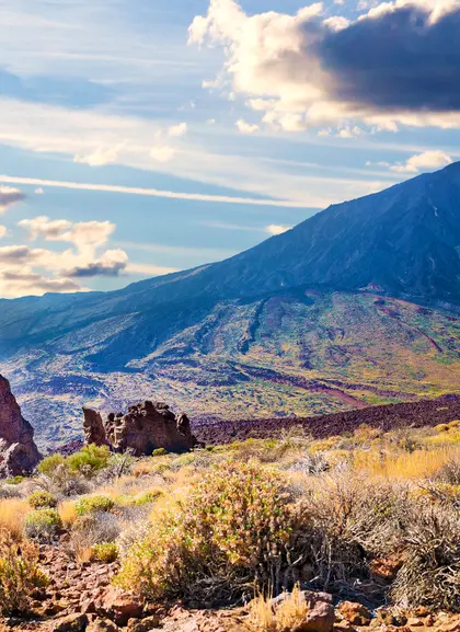 Excursión al Parque Nacional Teide desde Tenerife Sur - Visitas guiadas y Actividades Buendía Canarias