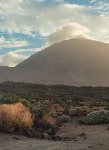 Pico Teide en el parque Nacional de Tenerife - Excursión al Teide, Icod, Garachico y Masca desde Tenerife Sur - Tours y Visitas guiadas Buendía Islas Canarias