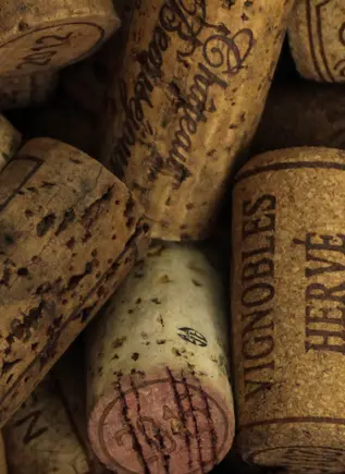 Visita Guiada a Cueva Dorretxe con degustación