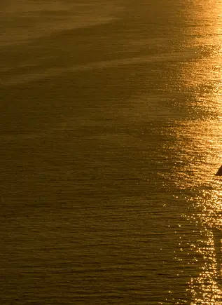 Crucero por las Islas Volcánicas con cena a bordo - Excursiones y Visitas guiadas Buendía Tours Grecia