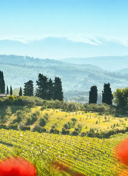 Excursión a Siena, San Gimignano y Pisa con Almuerzo - Visitas guiadas y Free tours en español Buendía Italia