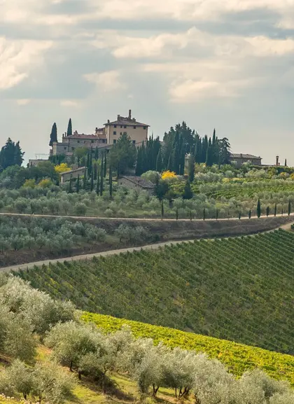 Chianti y campiña toscana - Excursión a San Gimignano, Siena y Chianti - Visitas guiadas y Free tours en español Buendía Italia