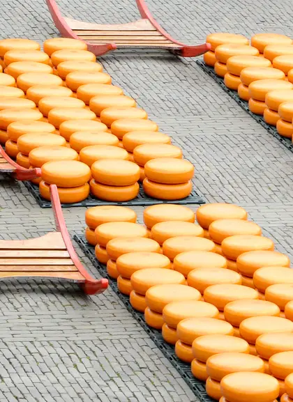 mercado de quesos en Gouda - Excursión Privada a Gouda y Kinderdijk desde Ámsterdam - Visitas guiadas y Free tour en español Buendía Holanda