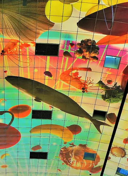 Mercado cubierto Markthal Rotterdam - Tour Privado Róterdam y la Haya - Tours y Visitas guiadas en español Buendía Tour Países Bajos