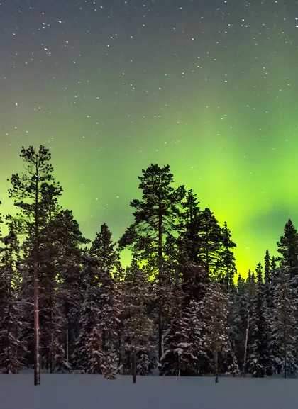 Caza de Auroras Boreales en grupo reducido 