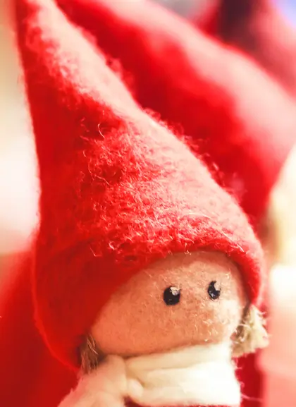 Excursión a la Aldea de Papá Noel - Excursiones y Visitas guiadas en español Buendía Laponia, Finlandia